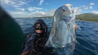 Diamond Trevally 🤍