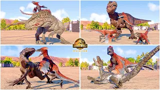 Pyroraptor VS All Carnivore Dinosaurs Killing Animations 🦖 Jurassic World Evolution 2 Dominion DLC