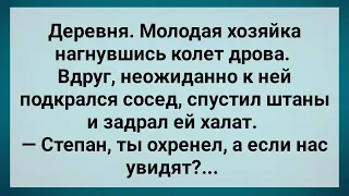 Сосед Подкрался к Молодой Хозяйке! Сборник Свежих Анекдотов! Юмор!