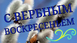 Красивое поздравление с Вербным воскресеньем. Видео открытка. Вербное Воскресенье .