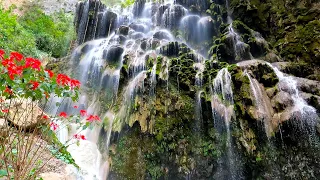 Grutas de Tolantongo - Un paraíso de aguas termales México 🇲🇽