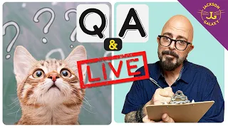 A Cat Expert Answers Your Questions!