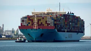 Huge Collection of Massive Containerships in Rotterdam 2022 (4k) - Part 2