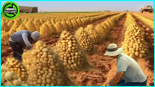 The Most Modern Agriculture Machines That Are At Another Level, How To Harvest Potatoes In Farm ▶9