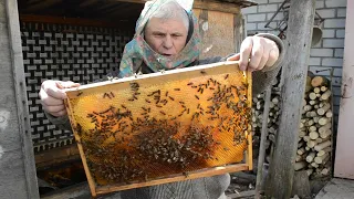 Первая покупка пчел - Подкормка пчел!