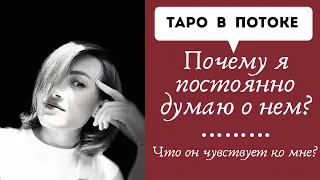 Почему я постоянно думаю о нем? Что он чувствует ко мне?