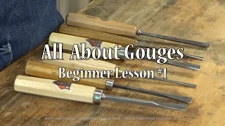 All About Gouges - Beginner Lesson #1