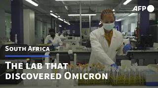 Inside the South African lab that discovered Omicron | AFP