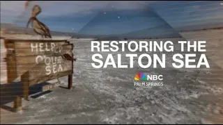 Restoring the Salton Sea: An in-depth look at lithium, wetlands and the 10-year plan