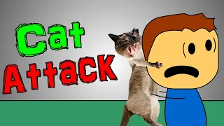 Brewstew - Cat Attack