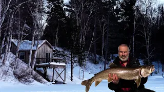 Alone at Another Off Grid Cabin in the Wilderness, Catching my Biggest Lake Trout