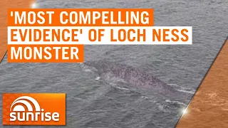 New photo of Loch Ness Monster could be most compelling evidence yet | 7NEWS