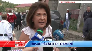 ROMÂNIA, TE IUBESC! - URSUL PĂCĂLIT DE OAMENI