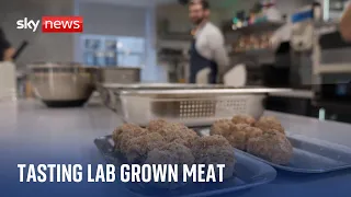 Tasting lab grown meat and inside the electric mini factory | The Climate Show with Tom Heap