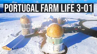 Does it SNOW in Portugal? | PORTUGAL FARM LIFE S3-01❄