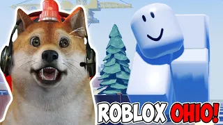 GAME ROBLOX YANG PALING BIKIN EMOSI? - Roblox Ohio Indonesia