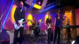 Sharon Corr - Everybody's Got to Learn Sometime.flv