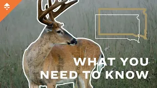 How To Go Hunting In South Dakota