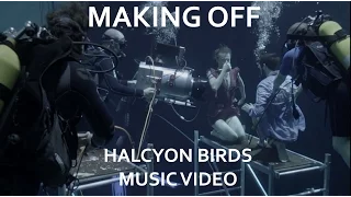 Making off Halcyon Birds music video