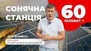 Сонячна електростанція 60 кВт🔆 для бізнесу 🔥| ТОВ "ВІКСУС" - оптовий продавець морепродуктів 🐟