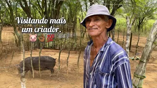 Hoje fizemos uma visita na criação de Danilo e Seu Pedro em Casserengue PB.🐷💯👌🏾