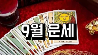 [타로카드] 9월 운세