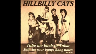 Rockin' Hillbillies - HILLBILLY CATS (1980)