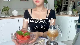 [vlog] making key rings🧸,honey grapefruit🍊,fried tofu rice balls🔥,pickles🥒,egg sandwiches🥪,Rummikub🎰
