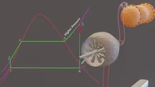 Rankine Cycle Animation. (THE IDEAL CYCLE FOR VAPOR POWER CYCLES)