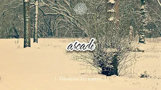 Daneliya Tuleshova - Arcade (audio)