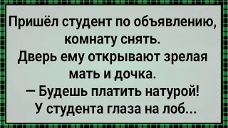 Как Студент За Комнату Натурой Платил! Сборник Свежих Анекдотов! Юмор!