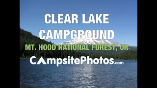 Clear Lake Campground - Mt  Hood National Forest, OR