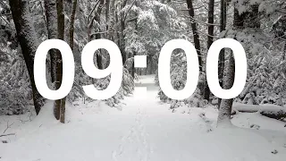 ❄🎄 9 Minute Timer Relaxing Music Lofi Snowy Forest Background ❄🎄