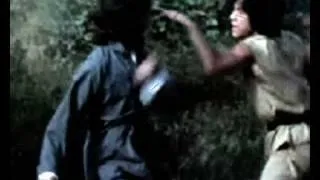 JACKIE CHAN vs ROY HORAN - SNAKE IN THE EAGLE'S SHADOW