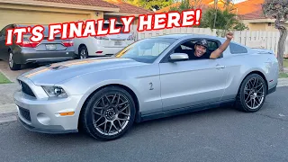 Taking Delivery of My Mustang Shelby GT500!