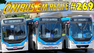 #269 Avenida Guararapes - Movimentação no centro do Recife -  Ônibus  urbano