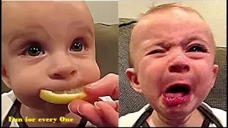 Latest funny kids and cute baby compilation 2017