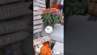 My Front Porch Is Ready! | Best Fall Porch Decorating Ideas #shorts fall porch decor