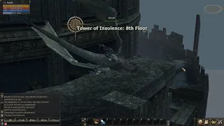 L2 Wyvern Tower of Insolence
