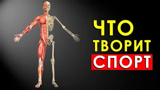 Что Будет с Телом, Если Заниматься Спортом Каждый День