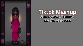 Tiktok Mashup January 2024 Popular Dances/Sounds