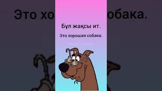 как сказать на казахском "Это хорошая собака. Не кусается"? #казахскийязык