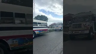 Crazy Chicken Buses in Panama 🇵🇦