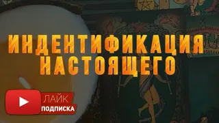 Срочненько. Для звёздных душ