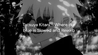 Tatsuya Kitani - Where Our Blue is (Slowed and Reverb)