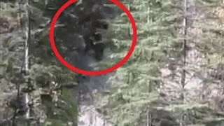 Bigfoot Caught On Tape | Survivorman: Bigfoot