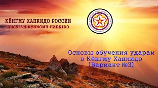 Основы обучения ударам в Кёнгму Хапкидо. (Вариант №3)