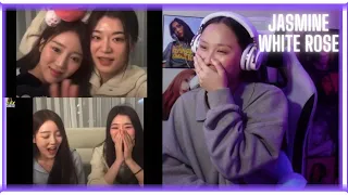 Jasmine and White Rose QUESTIONABLE MOMENTS!!! TENSION [Commentary together!!!] REACTION✨