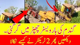 Wheat Harvester Fall in Canal || Power of 2 Balarus Tractor || New Holland Harvester 8080