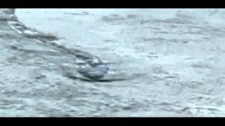 The Iceland Worm Monster Caught on Camera[Original]